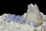 Purple/Gray Fluorite Cluster - Marblehead Quarry Ohio #81184-2